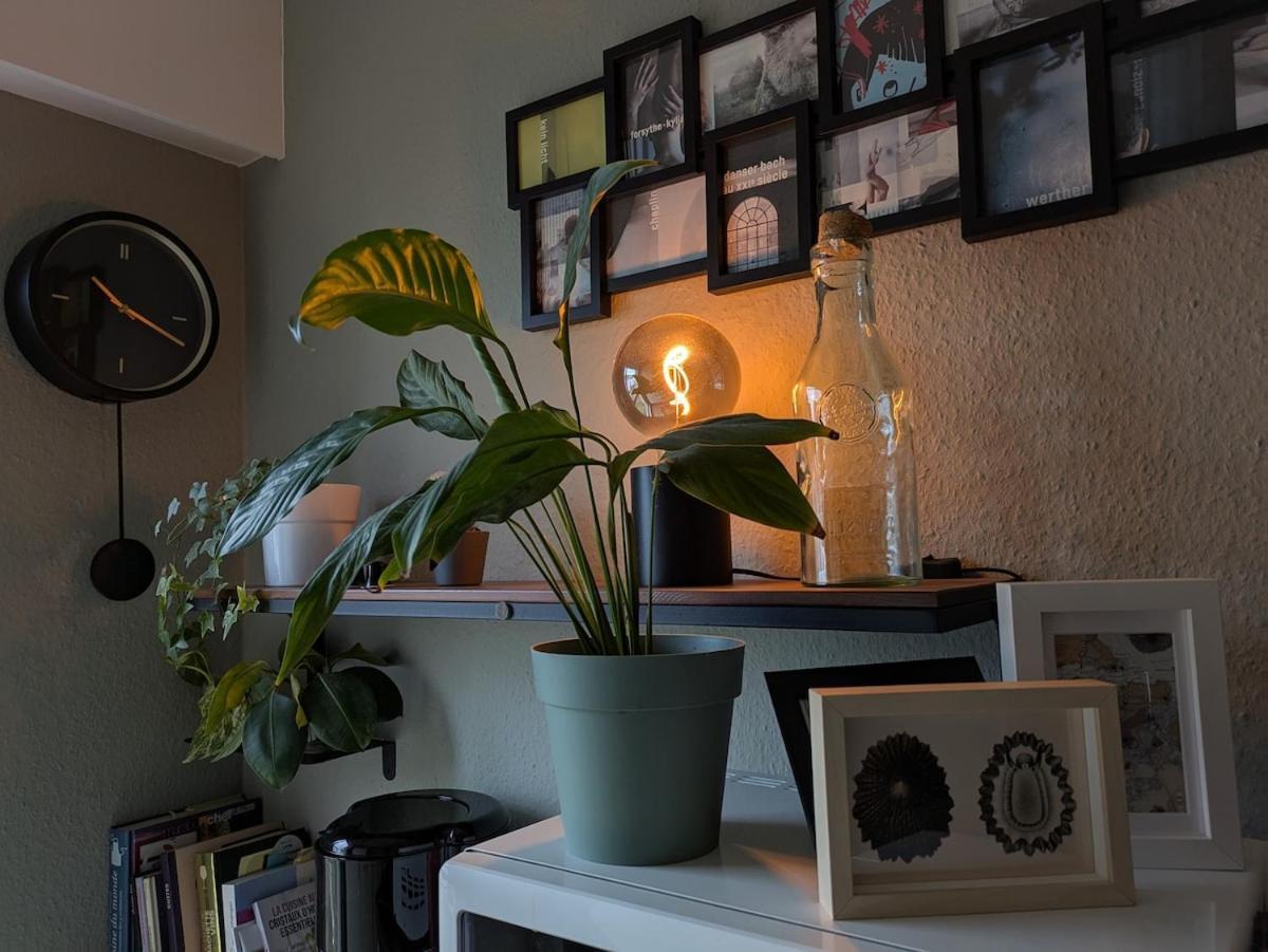 Appartement Charming In A Great Location *